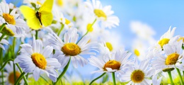 Ostern Urlaub Khlungsborn